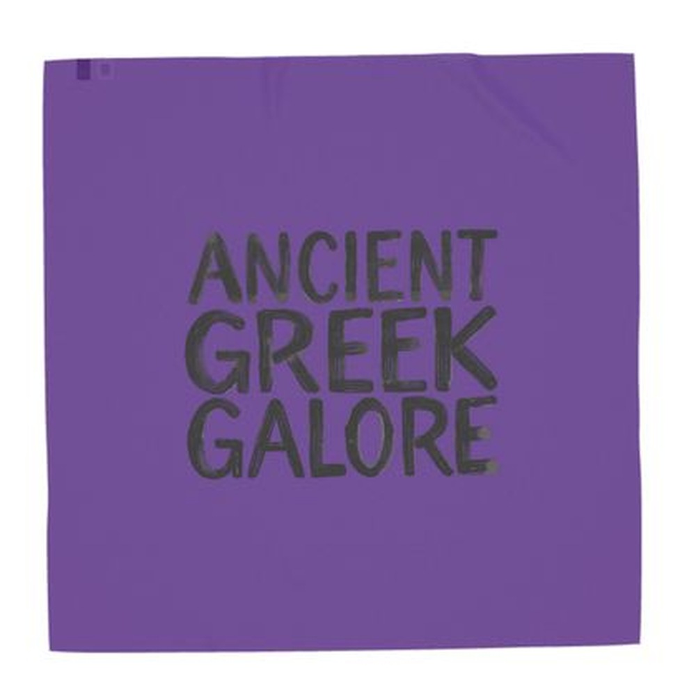 Felicéa Ancient Greek Galore Purple Venom Silk Georgette Shawl